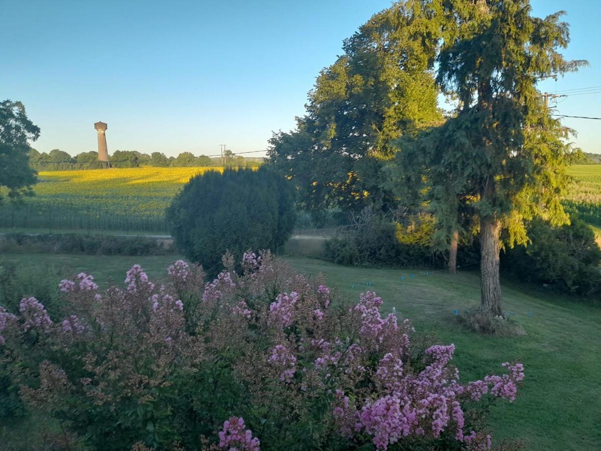 Chateau Ardilleux Exteriör bild